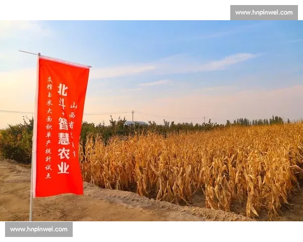 凯斯格兰强强联合 示范智慧播种新标杆 凯斯格兰强强联合 示范智慧播种新标杆